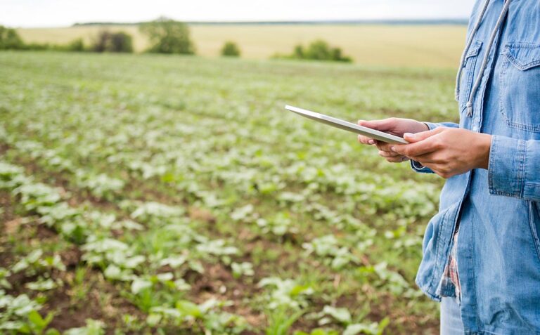 “Sustentables y rentables”: el boom tecnológico que atraviesa a las empresas del agro